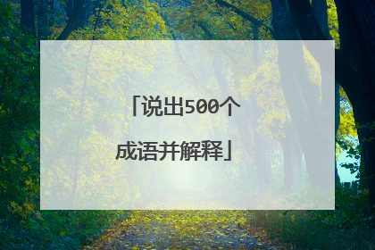 说出500个成语并解释