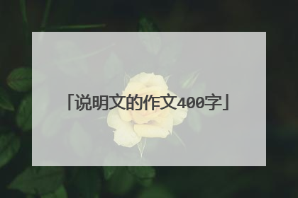 说明文的作文400字