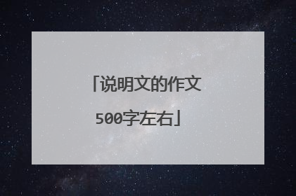 说明文的作文500字左右