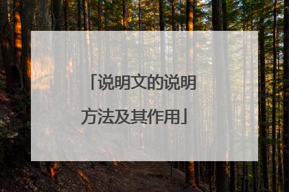 说明文的说明方法及其作用