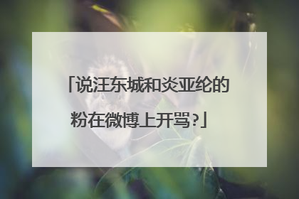 说汪东城和炎亚纶的粉在微博上开骂?