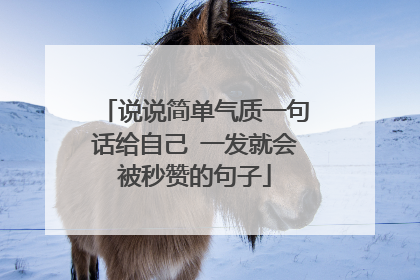 说说简单气质一句话给自己 一发就会被秒赞的句子