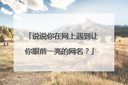 说说你在网上遇到让你眼前一亮的网名?