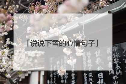 说说下雪的心情句子