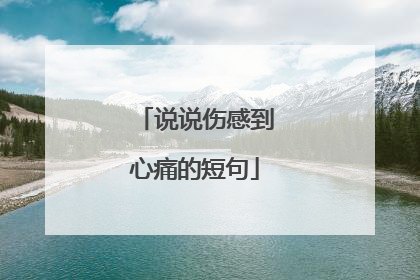 说说伤感到心痛的短句