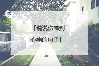 说说伤感到心痛的句子