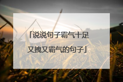 说说句子霸气十足 又拽又霸气的句子