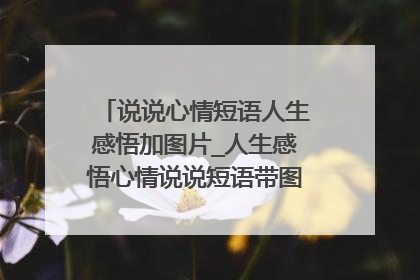 说说心情短语人生感悟加图片_人生感悟心情说说短语带图片说说(2)