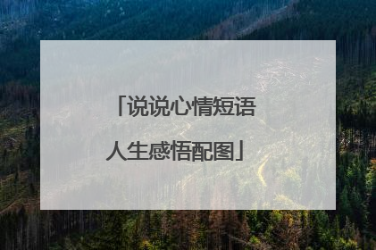 说说心情短语人生感悟配图