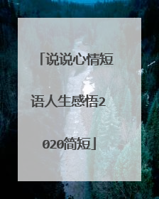 说说心情短语人生感悟2020简短