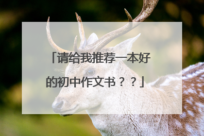 请给我推荐一本好的初中作文书??