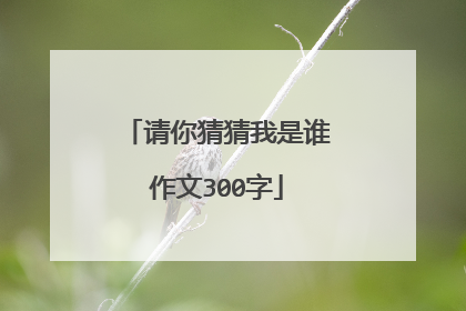 请你猜猜我是谁作文300字