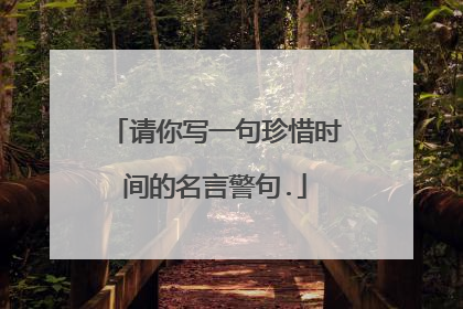 请你写一句珍惜时间的名言警句.