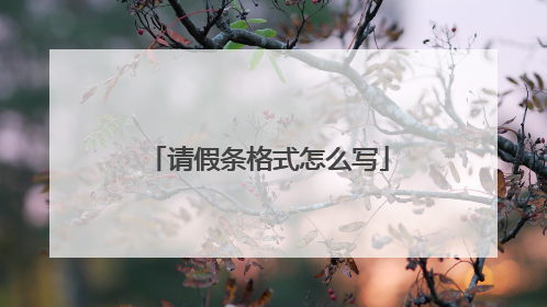 请假条格式怎么写