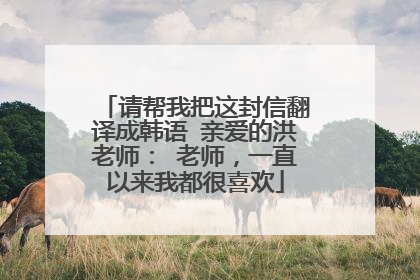 请帮我把这封信翻译成韩语 亲爱的洪老师: 老师,一直以来我都很喜欢