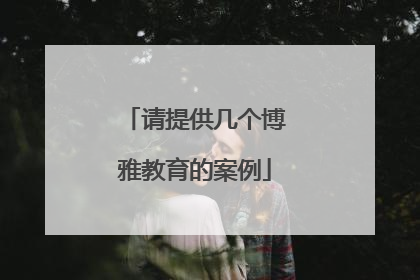 请提供几个博雅教育的案例