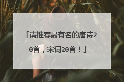 请推荐最有名的唐诗20首,宋词20首!