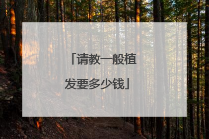 请教一般植发要多少钱