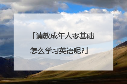 请教成年人零基础怎么学习英语呢?