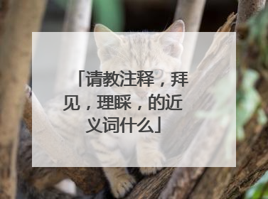 请教注释，拜见，理睬，的近义词什么