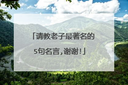 请教老子最著名的5句名言,谢谢!