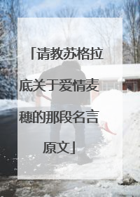 请教苏格拉底关于爱情麦穗的那段名言原文