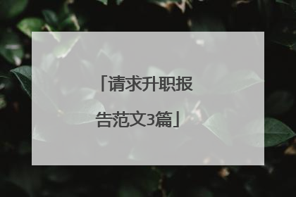 请求升职报告范文3篇