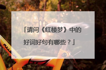 请问《红楼梦》中的好词好句有哪些？