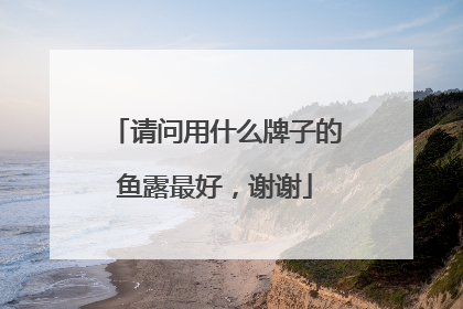 请问用什么牌子的鱼露最好，谢谢