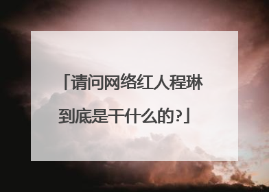 请问网络红人程琳到底是干什么的?
