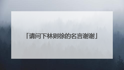 请问下林则徐的名言谢谢