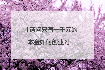 请问只有一千元的本金如何创业?