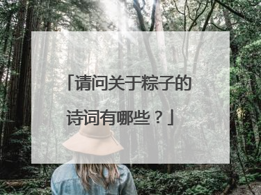 请问关于粽子的诗词有哪些？