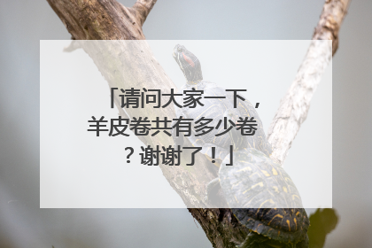 请问大家一下,羊皮卷共有多少卷?谢谢了!