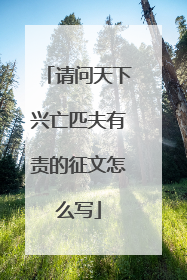请问天下兴亡匹夫有责的征文怎么写