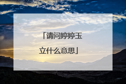 请问婷婷玉立什么意思