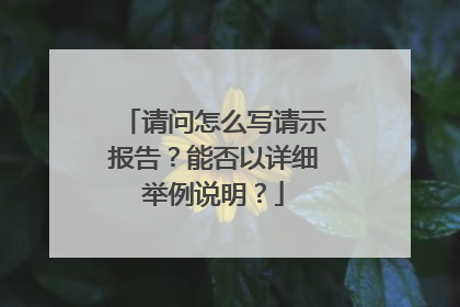 请问怎么写请示报告?能否以详细举例说明?