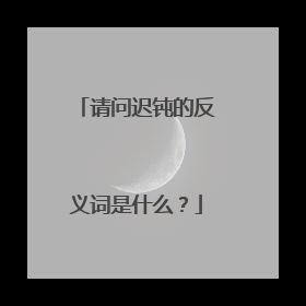 请问迟钝的反义词是什么?