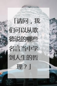请问,我们可以从歌德说的哪些名言当中学到人生的哲理?