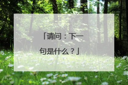 请问:下一句是什么?