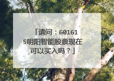 请问:601615明阳智能股票现在可以买入吗?