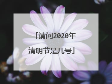 请问2020年清明节是几号