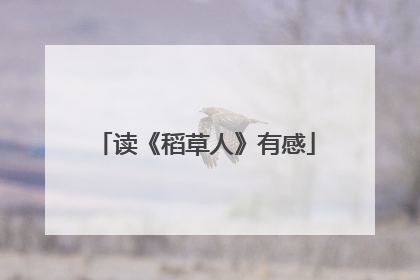读《稻草人》有感