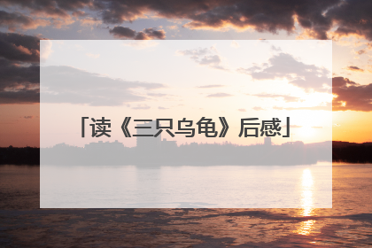 读《三只乌龟》后感