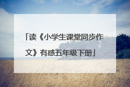读《小学生课堂同步作文》有感五年级下册