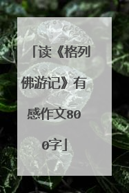 读《格列佛游记》有感作文800字