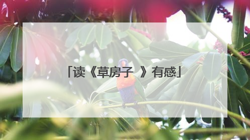 读《草房子 》有感