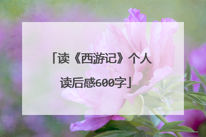 读《西游记》个人读后感600字