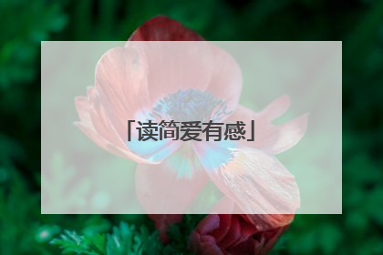 读简爱有感