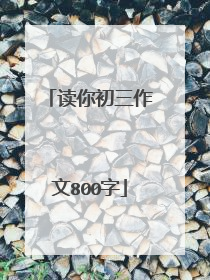 读你初三作文800字